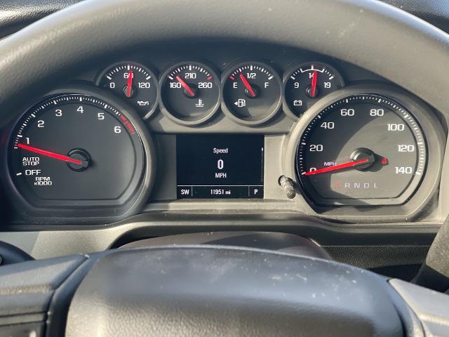2024 Chevrolet Silverado 1500 Vehicle Photo in BENTONVILLE, AR 72712-4322