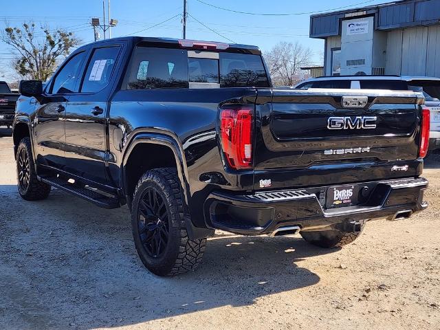 2019 GMC Sierra 1500 Vehicle Photo in PARIS, TX 75460-2116