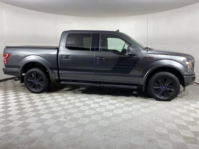 2019 Ford F-150 Vehicle Photo in MEDINA, OH 44256-9001