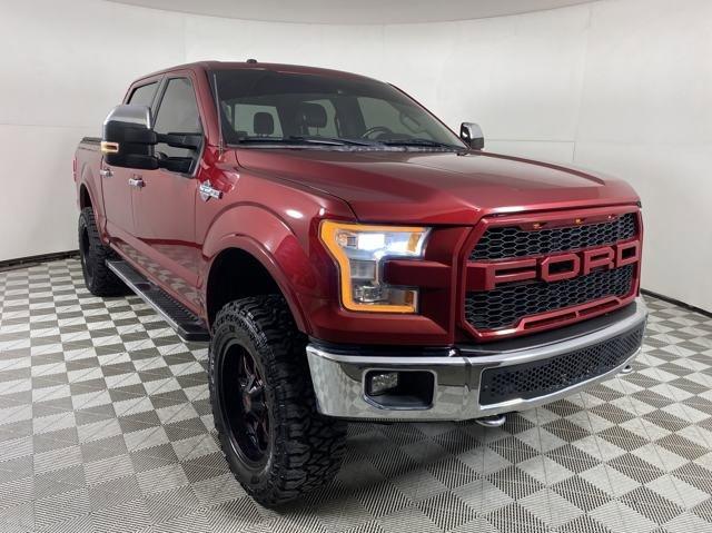 2015 Ford F-150 Vehicle Photo in MEDINA, OH 44256-9001