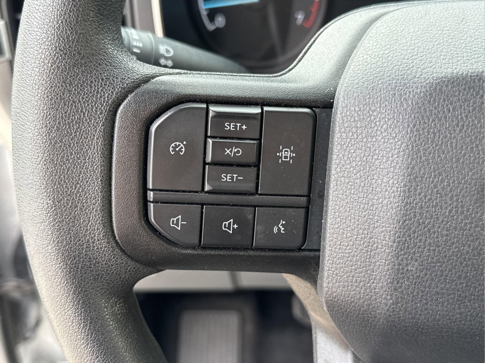 2023 Ford F-150 Vehicle Photo in GEORGETOWN, TX 78626-7508