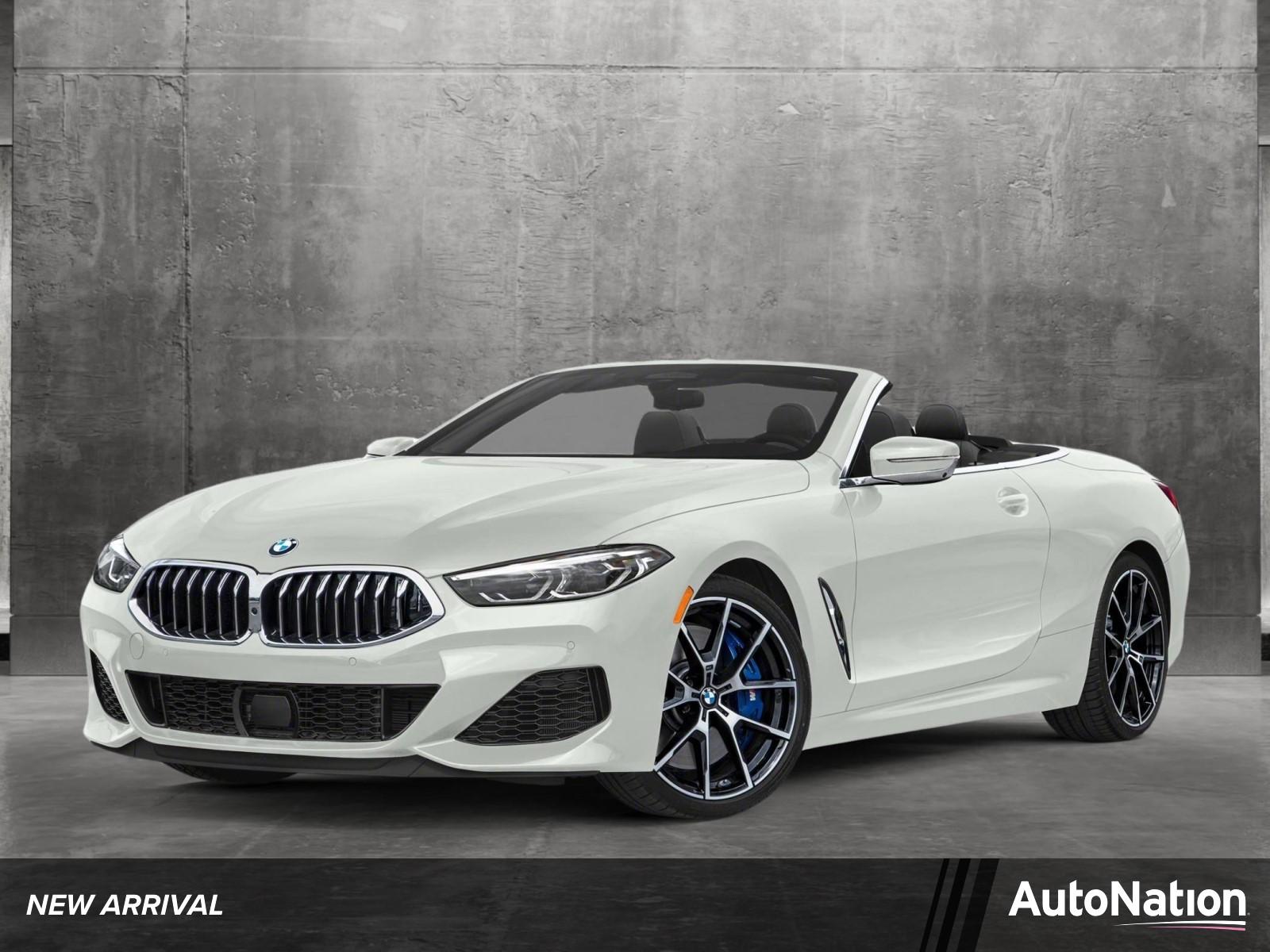 2019 BMW M850i xDrive Vehicle Photo in Delray Beach, FL 33444