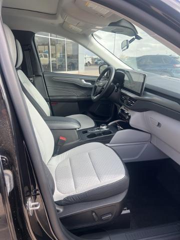 2024 Ford Escape Vehicle Photo in Winslow, AZ 86047-2439