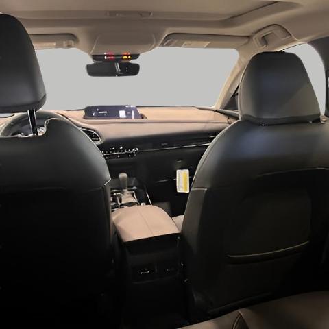 2025 Mazda CX-30 Vehicle Photo in Green Bay, WI 54304