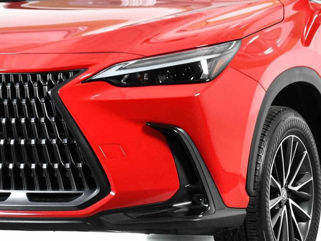 2024 Lexus NX 250 Vehicle Photo in DALLAS, TX 75235
