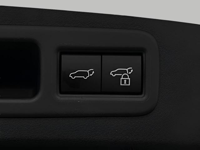2024 Lexus RX 350 Vehicle Photo in Appleton, WI 54913