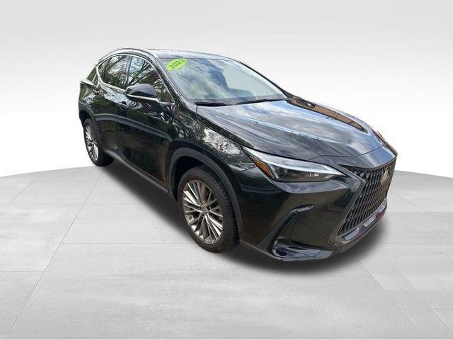 2023 Lexus NX Vehicle Photo in MEDINA, OH 44256-9631