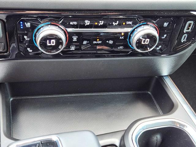 2024 GMC Sierra 1500 Vehicle Photo in DENTON, TX 76210-9321