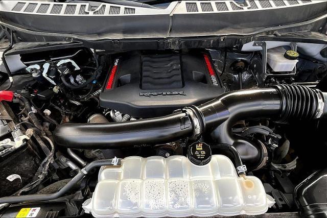 2023 Ford F-150 Vehicle Photo in San Antonio, TX 78230