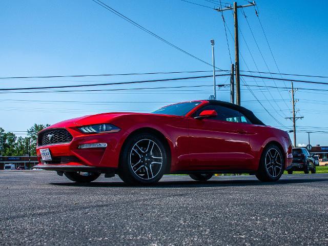 2023 Ford Mustang Vehicle Photo in MADISON, IN 47250-1611