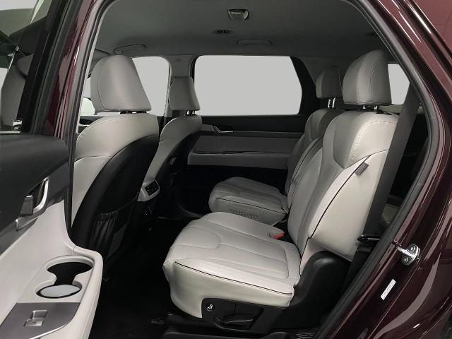2024 Hyundai PALISADE Vehicle Photo in Appleton, WI 54914