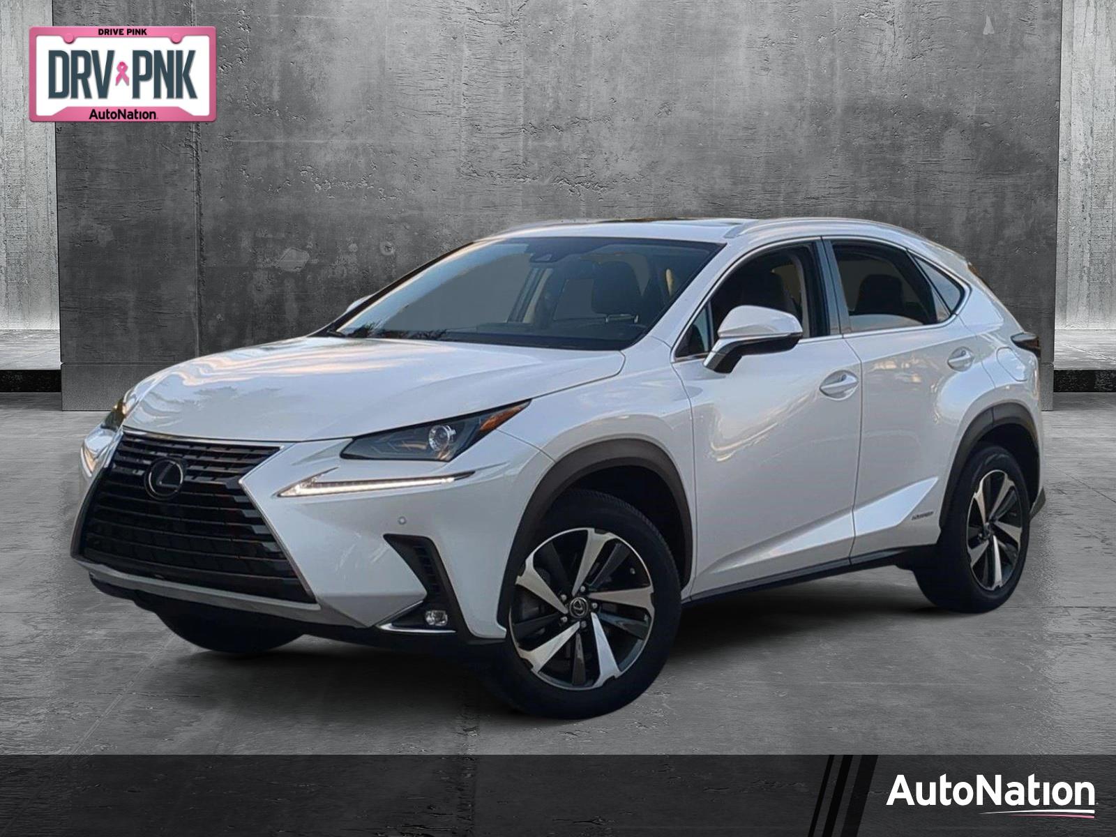 2020 Lexus NX 300h Vehicle Photo in West Palm Beach, FL 33417