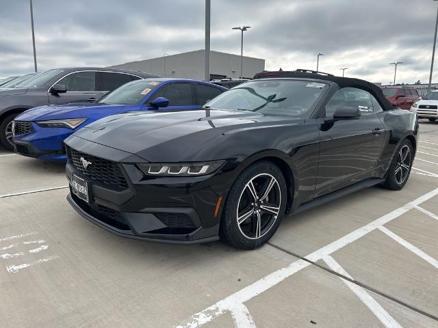 2024 Ford Mustang Vehicle Photo in Grapevine, TX 76051
