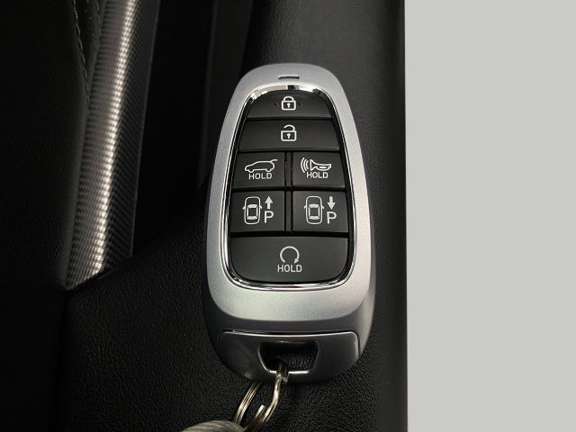 2024 Hyundai PALISADE Vehicle Photo in Appleton, WI 54913