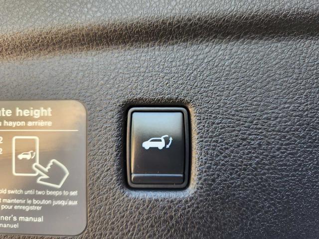 2021 INFINITI QX50 Vehicle Photo in Grapevine, TX 76051