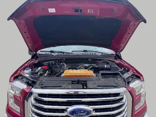2015 Ford F-150 Vehicle Photo in Oshkosh, WI 54901