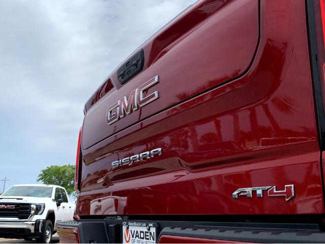 2025 GMC Sierra 1500 Vehicle Photo in BEAUFORT, SC 29906-4218