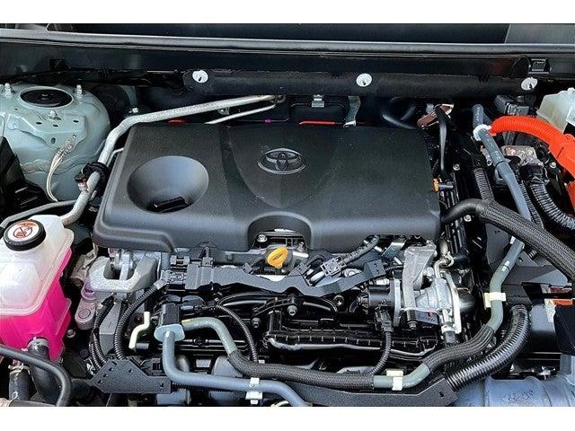2021 Toyota RAV4 Vehicle Photo in San Antonio, TX 78230