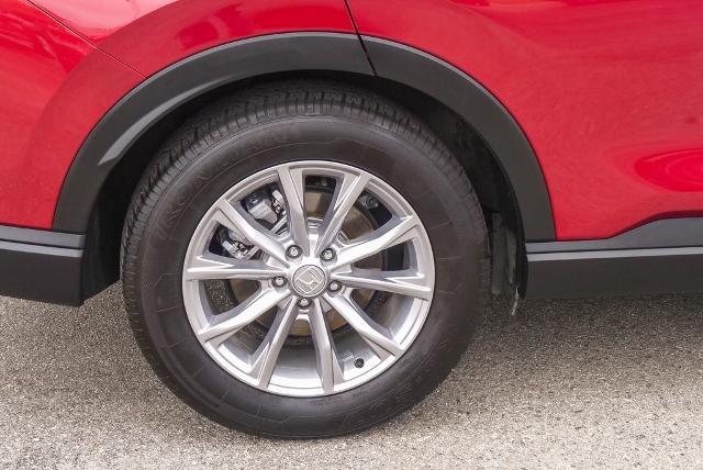 2023 Honda CR-V Vehicle Photo in VENTURA, CA 93003-8585