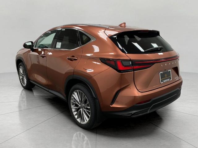 2025 Lexus NX 350 Vehicle Photo in Appleton, WI 54913