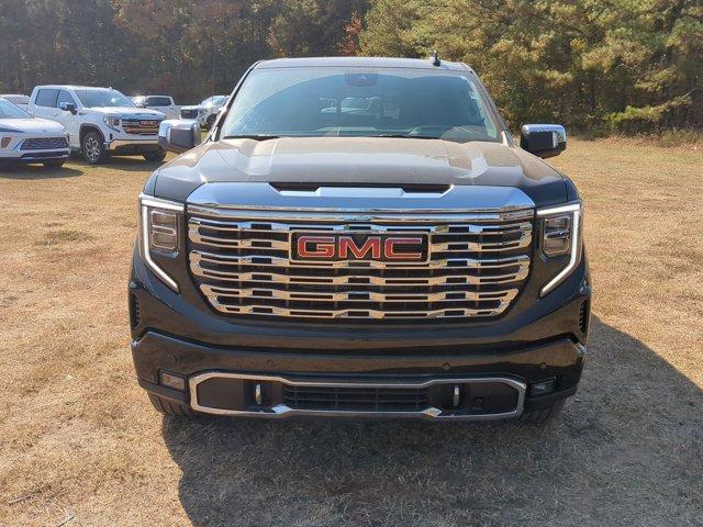 2025 GMC Sierra 1500 Vehicle Photo in ALBERTVILLE, AL 35950-0246