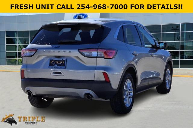 2022 Ford Escape Vehicle Photo in STEPHENVILLE, TX 76401-3713