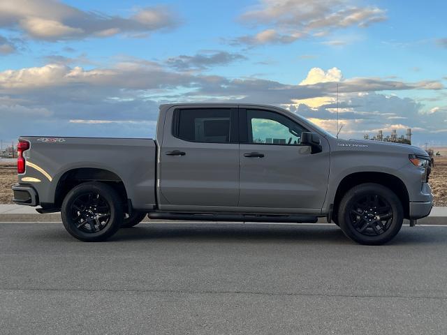 2024 Chevrolet Silverado 1500 Vehicle Photo in PITTSBURG, CA 94565-7121