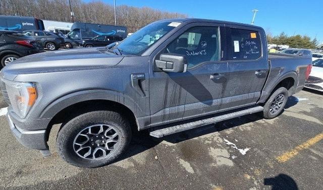 2023 Ford F-150 Vehicle Photo in San Antonio, TX 78230