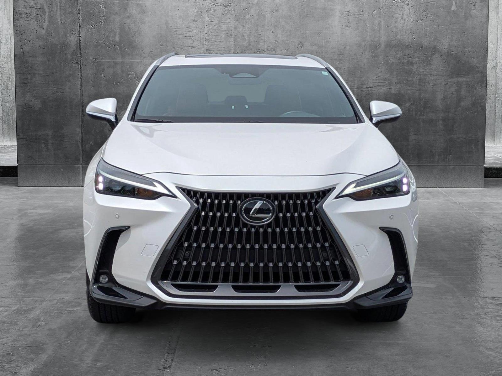 2024 Lexus NX 250 Vehicle Photo in Clearwater, FL 33761