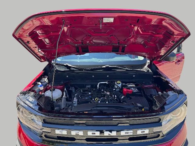 2021 Ford Bronco Sport Vehicle Photo in Oshkosh, WI 54901