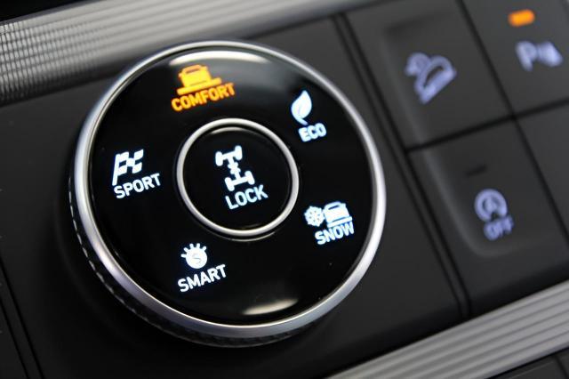 2024 Hyundai PALISADE Vehicle Photo in Green Bay, WI 54304
