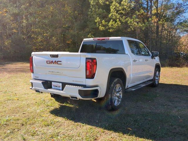 2025 GMC Sierra 1500 Vehicle Photo in ALBERTVILLE, AL 35950-0246