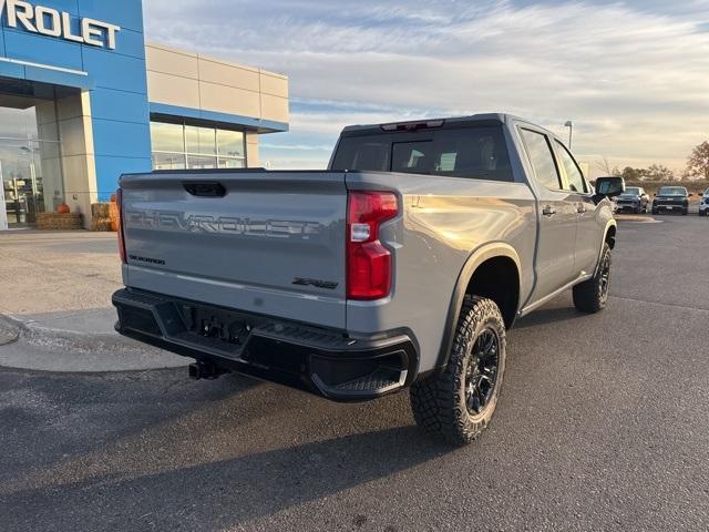 2025 Chevrolet Silverado 1500 Vehicle Photo in GLENWOOD, MN 56334-1123