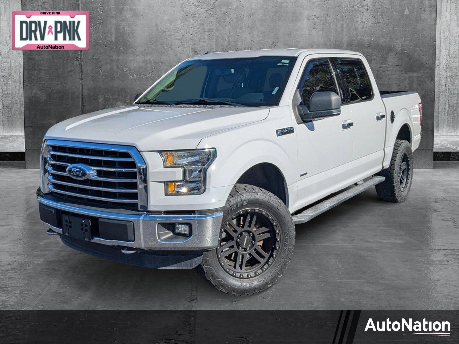 2015 Ford F-150 Vehicle Photo in Panama City, FL 32401