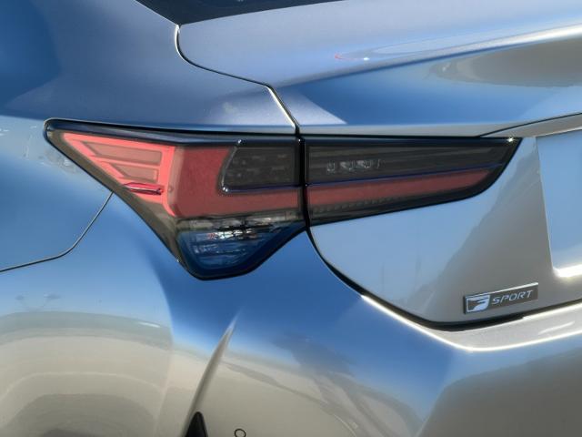 2019 Lexus RC Vehicle Photo in PITTSBURG, CA 94565-7121