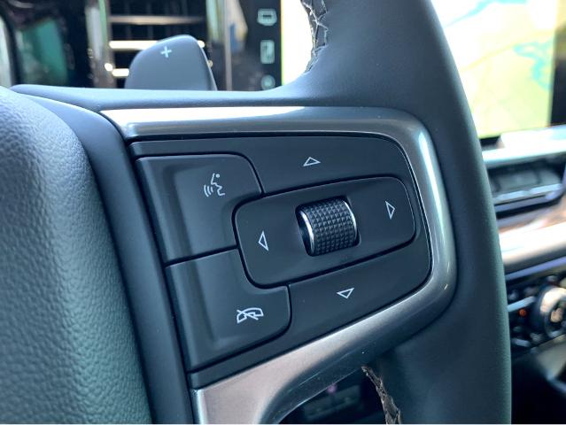 2025 Chevrolet Silverado 1500 Vehicle Photo in BEAUFORT, SC 29906-4218