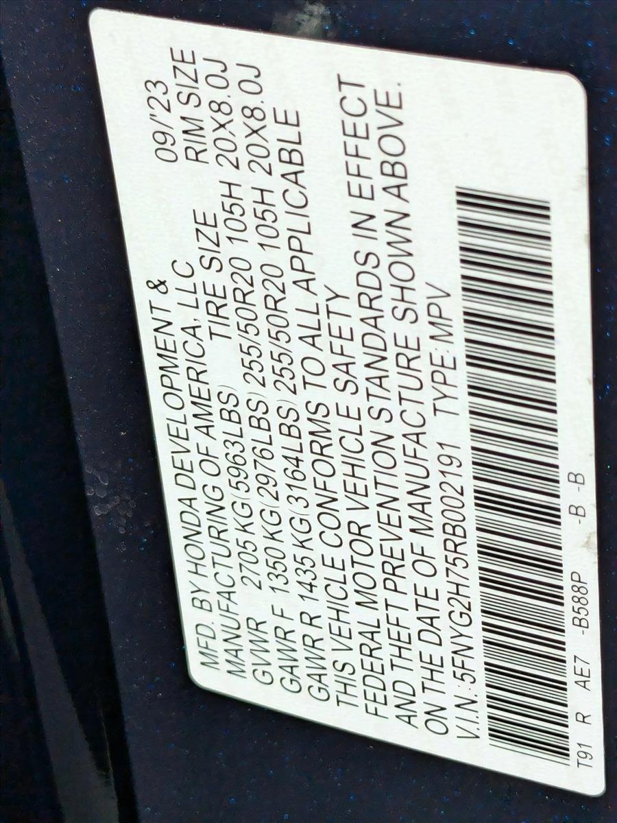 2024 Honda Pilot Vehicle Photo in Miami, FL 33015