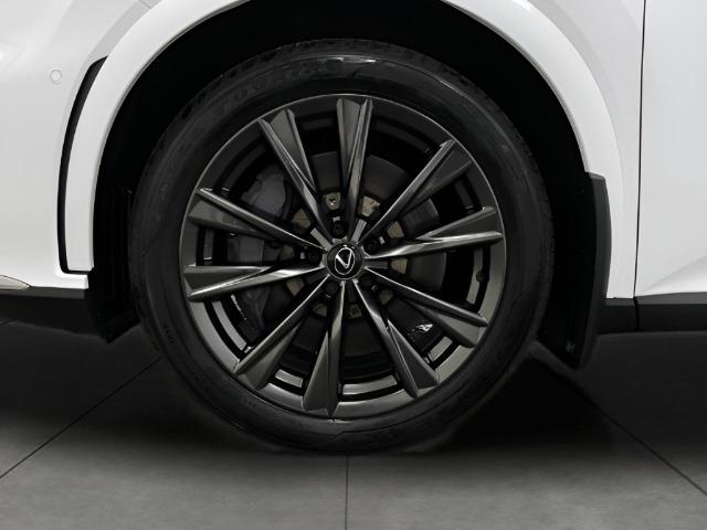 2024 Lexus RX 350 Vehicle Photo in Appleton, WI 54913