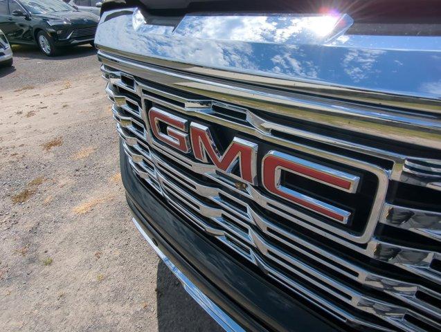 2025 GMC Sierra 1500 Vehicle Photo in ALBERTVILLE, AL 35950-0246