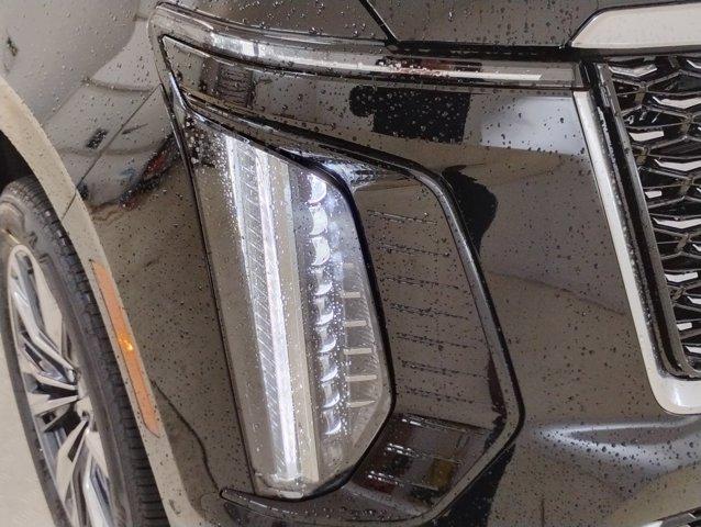 2025 Cadillac Escalade Vehicle Photo in PINEVILLE, NC 28134-8495