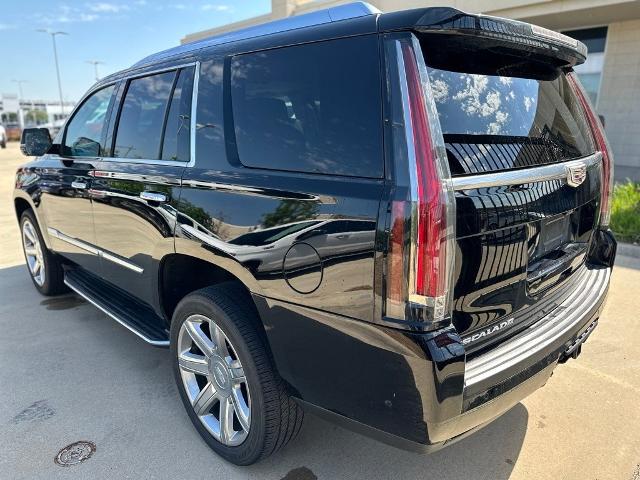 2019 Cadillac Escalade Vehicle Photo in San Antonio, TX 78230