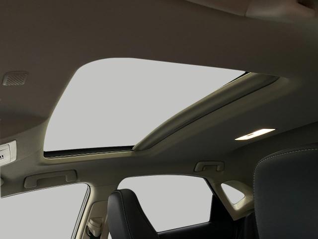 2019 Lexus NX 300 Vehicle Photo in Appleton, WI 54913