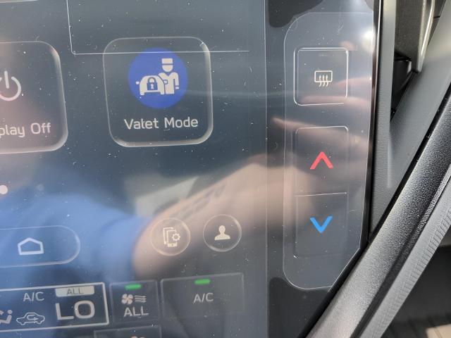 2025 Subaru Crosstrek Vehicle Photo in Green Bay, WI 54304