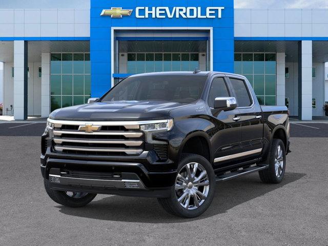 2025 Chevrolet Silverado 1500 Vehicle Photo in SELMA, TX 78154-1460