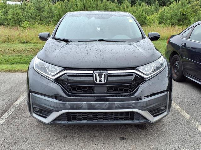 2022 Honda CR-V Vehicle Photo in EMPORIA, VA 23847-1235