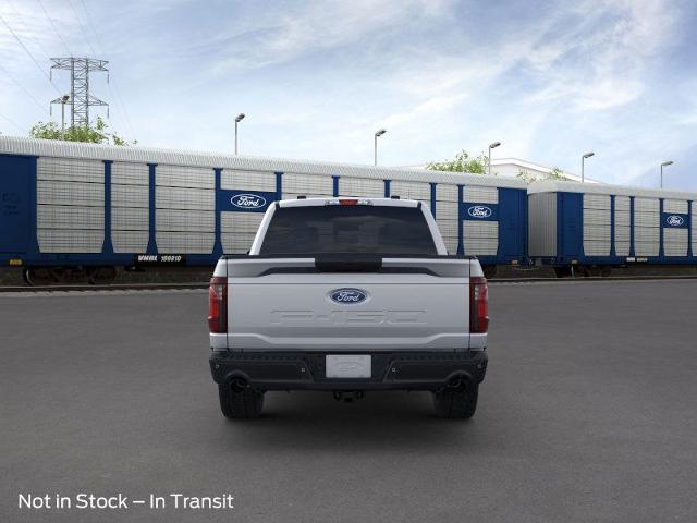 2025 Ford F-150 Vehicle Photo in Winslow, AZ 86047-2439