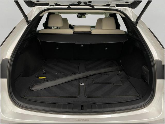 2024 Lexus RX 350 Vehicle Photo in Appleton, WI 54913