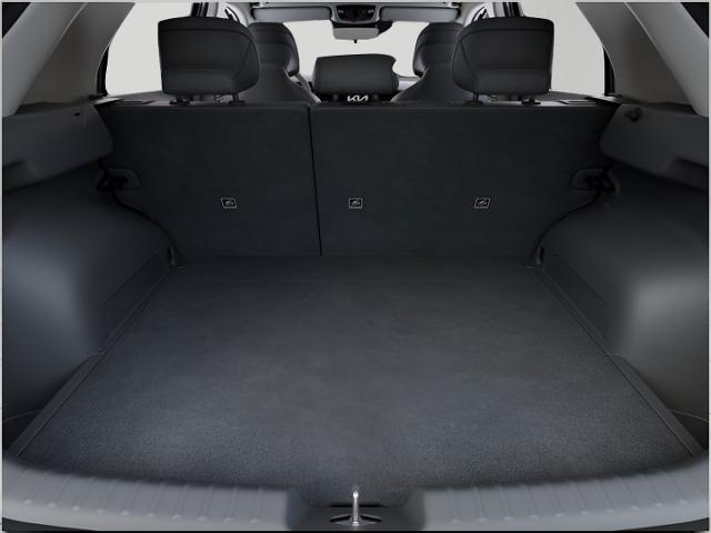 2025 Kia Niro Vehicle Photo in Appleton, WI 54914