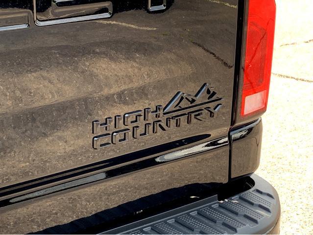 2025 Chevrolet Silverado 2500 HD Vehicle Photo in BEAUFORT, SC 29906-4218