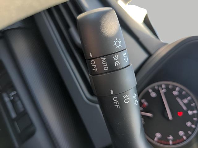 2025 Subaru Crosstrek Vehicle Photo in Green Bay, WI 54304